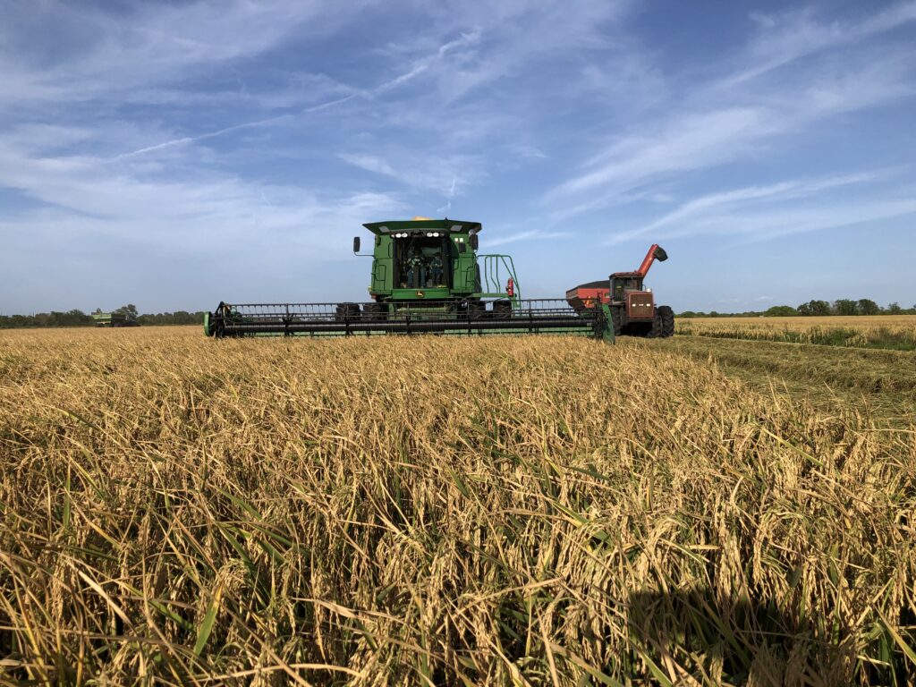 Blue Creek Rice Mill - Waller, Austin, Wharton, Matagorda County, Texas