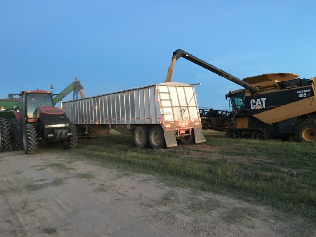 Blue Creek Rice Mill - Harvest Haul