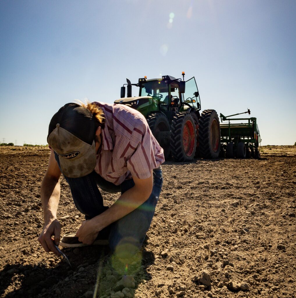 Blue Creek Rice Mill Spring