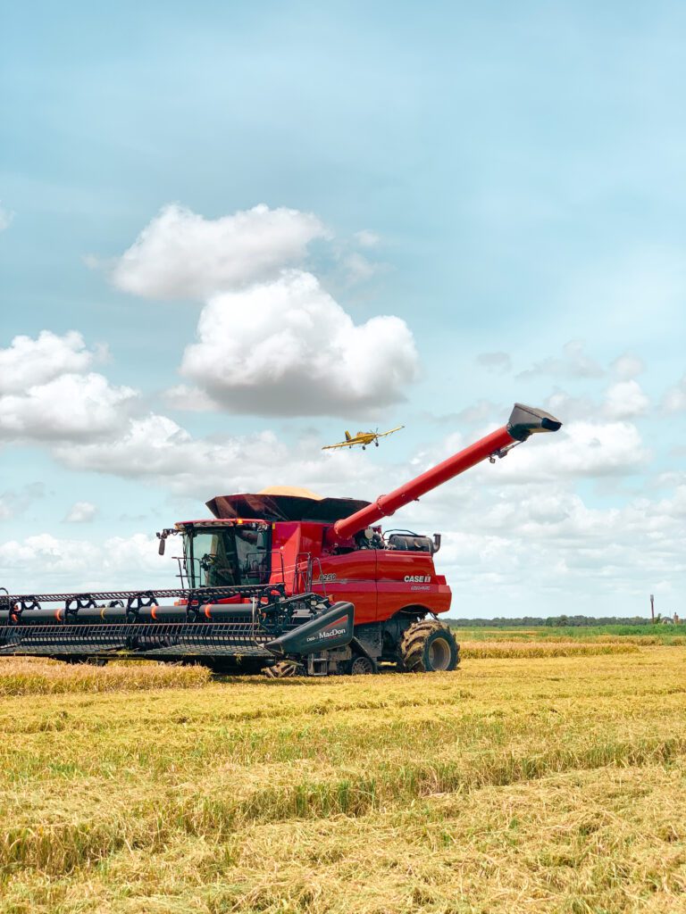 Blue Creek Rice Mill El Campo, Texas