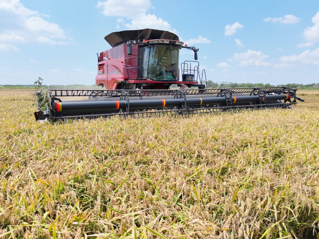 Blue Creek Rice Mill BCRM El Campo, Texas